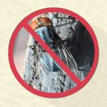 USDA Announces New World Screwworm Grand Challenge